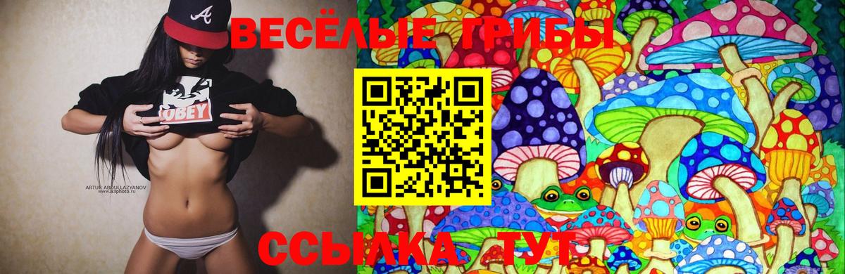 Псилоцибиновые грибы мухоморы  Галлюциногенные грибы Cubensis  Вход с VPN  Котовск 